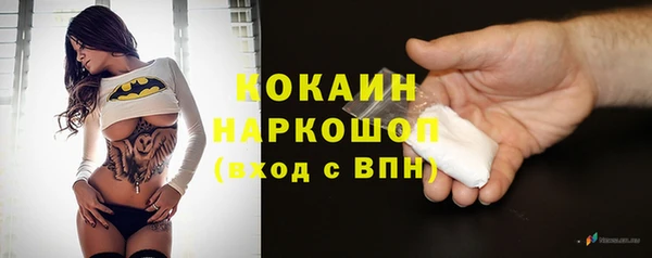 дмт Лиски