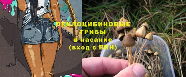 ECSTASY Лагань