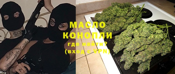 индика Кулебаки