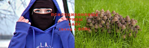 эйфоретик Липки